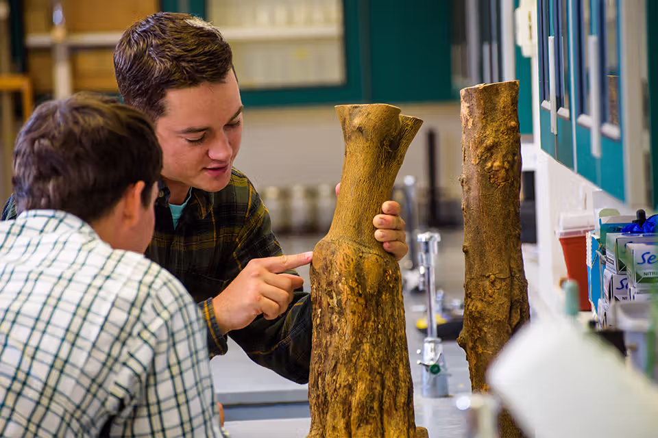 Environmental Chemistry