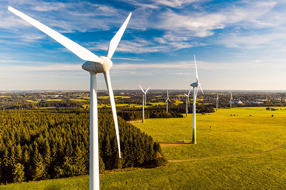 wind mill farm