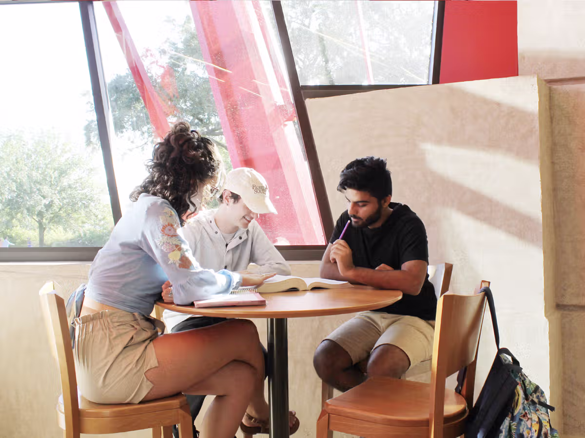 Peer Health Mentor Work Study