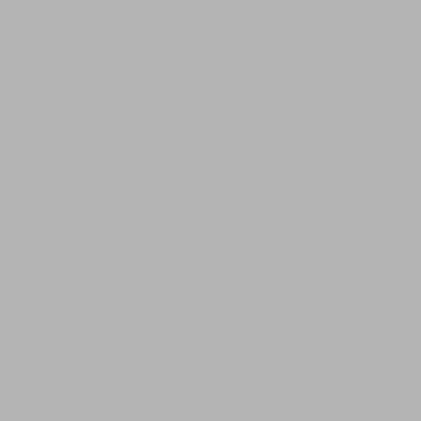 b5b4b5 Medium Gray