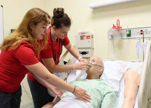 Nursing Engaged Learning Nusing students