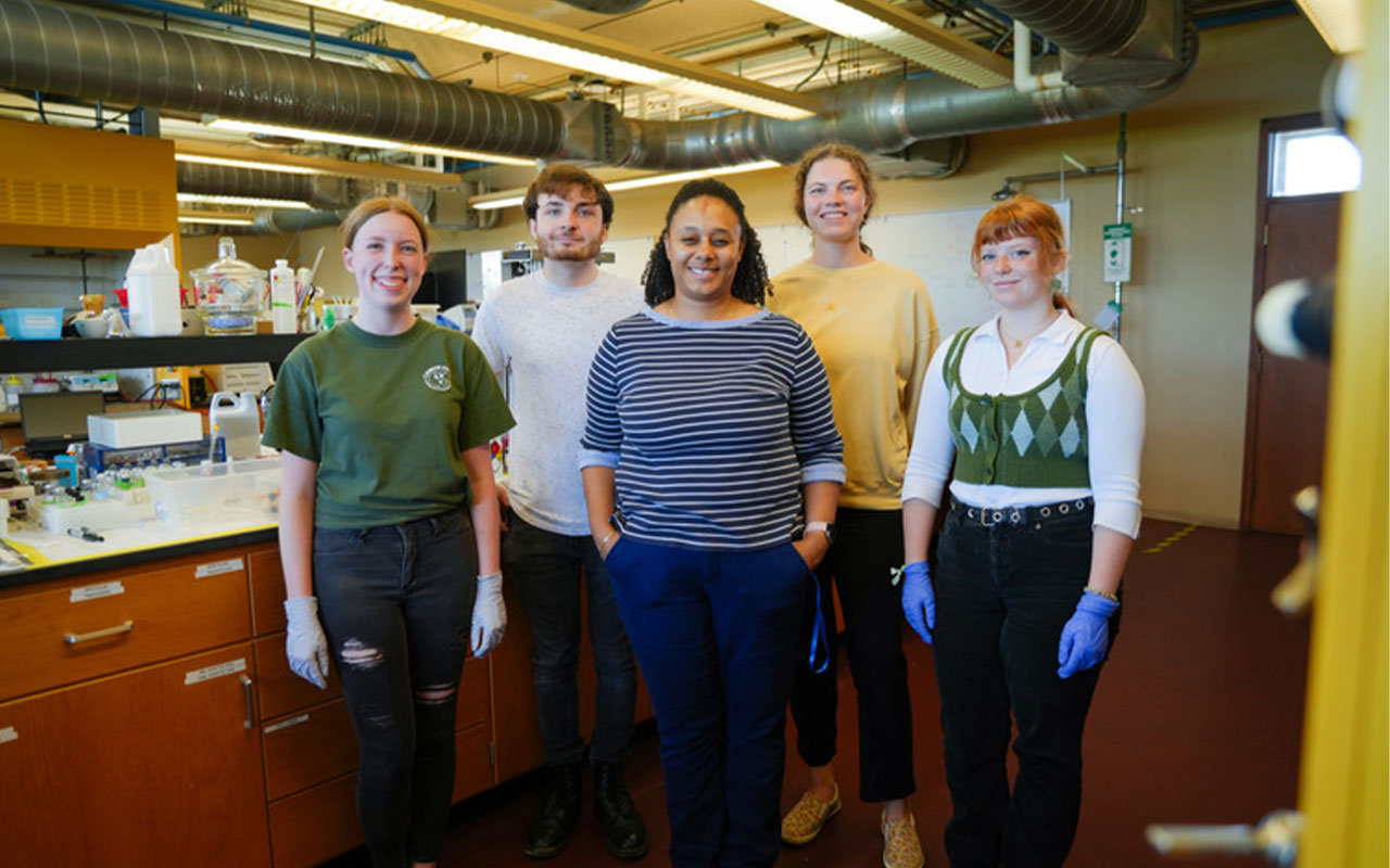 Summer Research Students in the lab