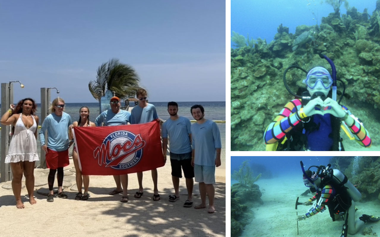 coral and other students standing on a beach and diving in the water