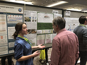 Biotechnology major Jackie Krantz ‘20 presenting her honors research on the evolution of a sea anemone toxin.