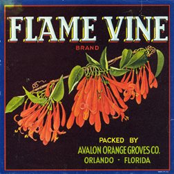 Flame Vine Brand Label