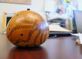 octopus container