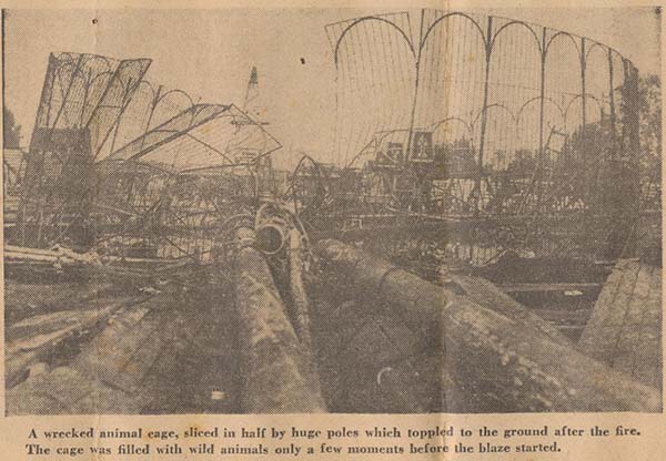 The tent's remains after the fire. Caption reads: A wrecked animal cage, sliced in half by huge poles which toppled to the ground after the fire. The cage was filled with wild animals only a few moments before the blaze started.