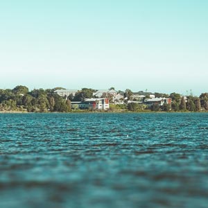 view from lake hollingsworth