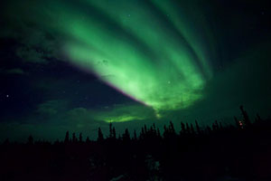 Auroras viewed on one of the night excursions.