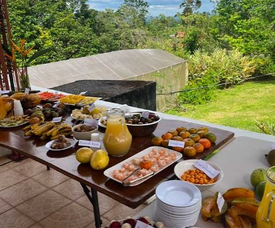 costa rica food costa rica food