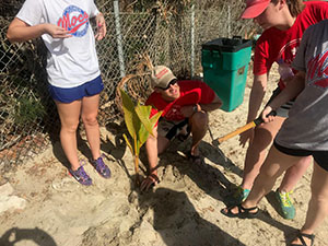 Dr. Taylor and students planting trees on Virgin Gorda. 