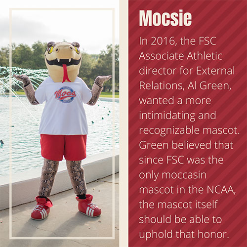 In 2016, the FSC Associate Athletic director for External Relations, Al Green, wanted a more intimidating and recognizable mascot. Green believed that since FSC was the only moccasin mascot in the NCAA, the mascot itself should be able to uphold that honor.