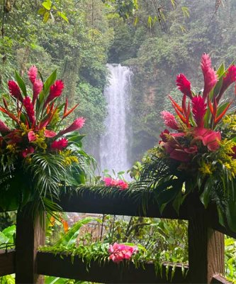 Waterfall excursion Waterfall excursion
