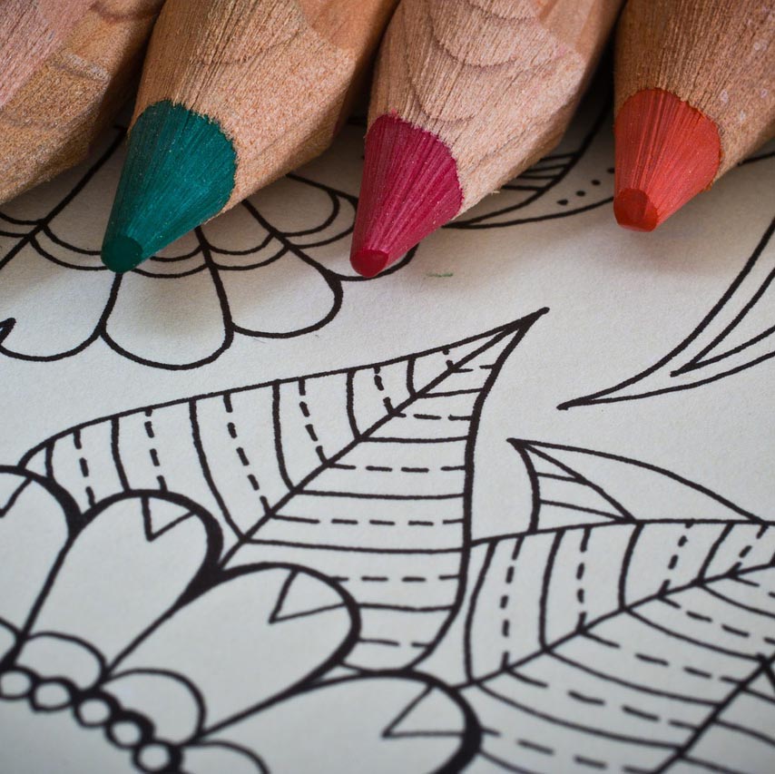 Color pencils