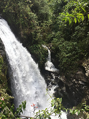 One of the first parts of Costa Rica the students experienced was hiked up a mountain to see four different waterfalls. Shelby Roberts '20 found a spot to capture two of the waterfalls in one photo.