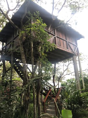 A tree house within the Mindo forest.