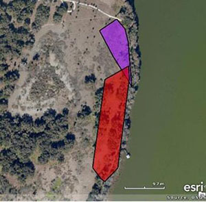 This image shows some of the results from Kristen Martinet and Leyna Stemle’s research where they used GIS to locate the home ranges of two male turtles. The ranges are mapped together to show where they overlap.