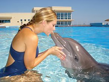 Marine Mammal Training Opportunities