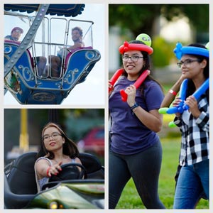 fair well collage