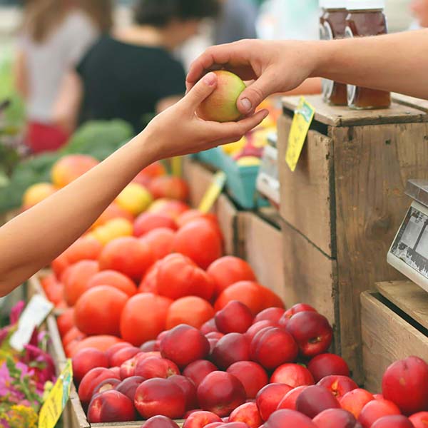 Saturday Farmers Markets