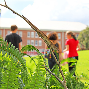 Office of Student Conduct