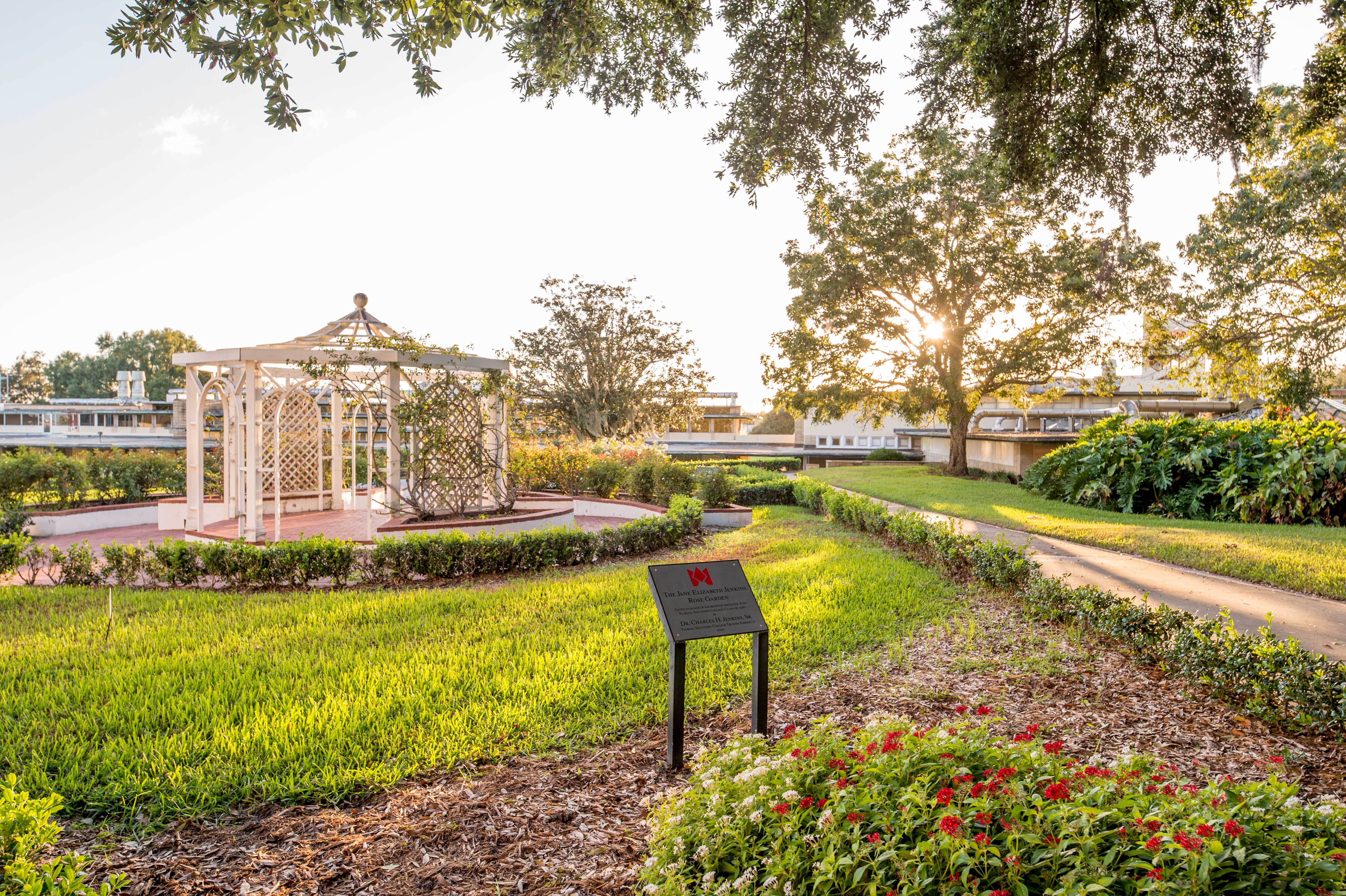 Jane Jenkins Rose Garden