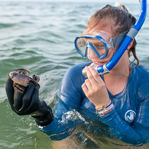 NSF Grant to Fund Study